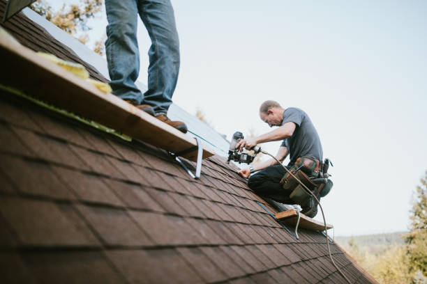 Professional Roofing Contractor in South Bend, WA